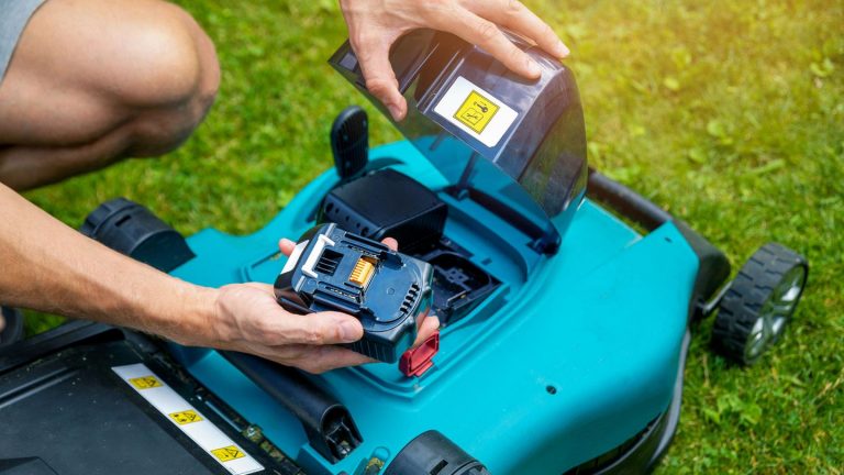 Lawn mower case of goods, test – battery devices far better than cable mower