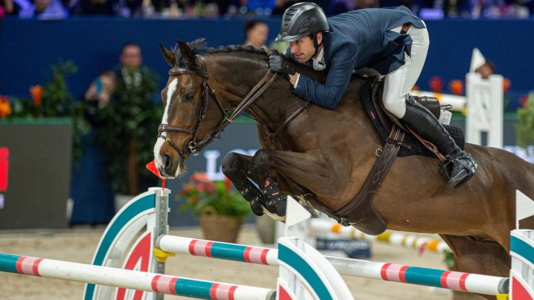 Horses tortured with electric spurs: US show jumper banned for ten years