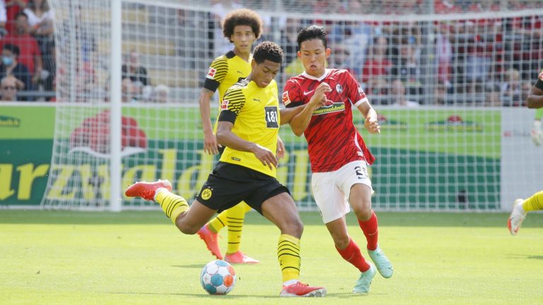 Borussia Dortmund lose despite own goal gift