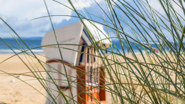Vibrion infection: woman dies after bath in the Baltic Sea